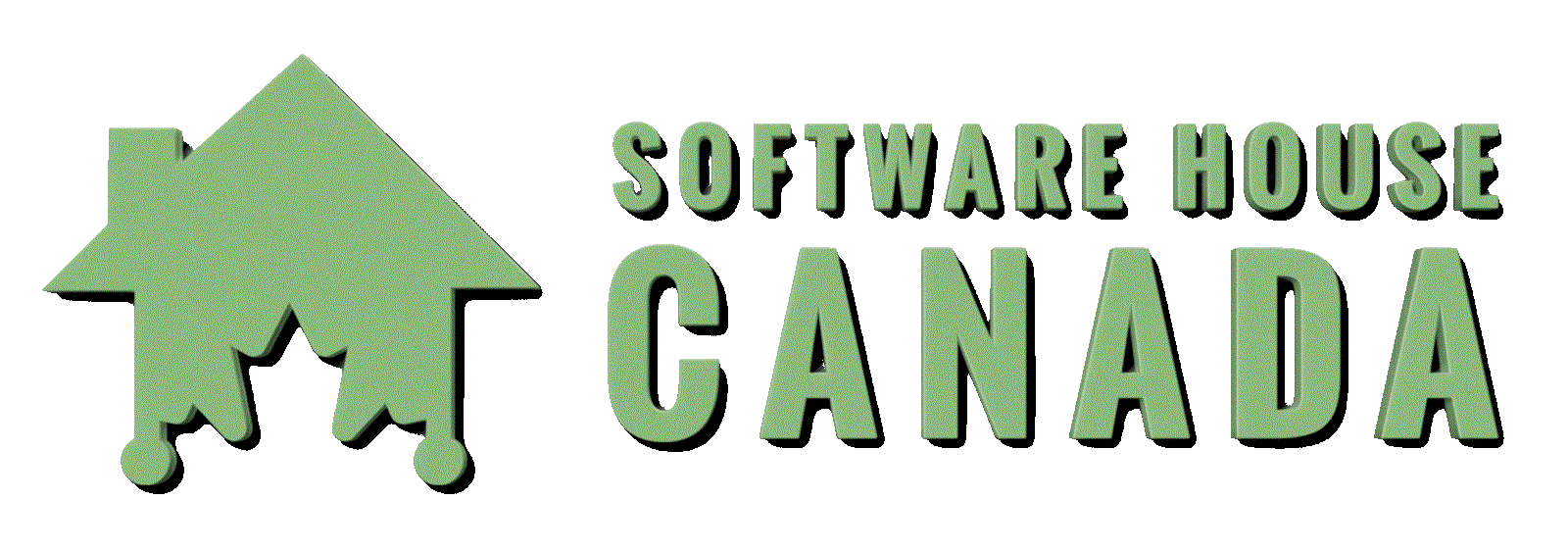 Software development Agency canada